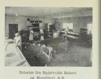 295. No-nb digibok 2012060724015 0864 2.jpg