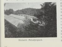 41. No-nb digibok 2012060724015 0899 2.jpg