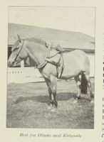 37. No-nb digibok 2012062524003 0483 1.jpg