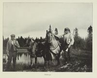 26. No-nb digibok 2012062524003 0489 1.jpg