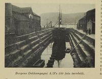 266. No-nb digibok 2012062624001 0230 1.jpg