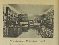 295. No-nb digibok 2012062624001 0252 4.jpg