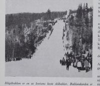 325. No-nb digibok 2012071208038 0222 1.jpg