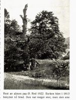 117. No-nb digibok 2012100906021 0057 1.jpg