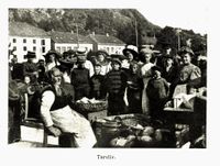 35. No-nb digibok 2012100906021 0260 1.jpg