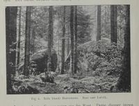 7. No-nb digibok 2012100907004 0012 1.jpg