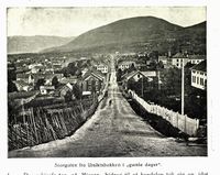 304. No-nb digibok 2012101006012 0018 1.jpg