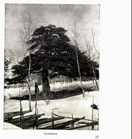 350. No-nb digibok 2012101006012 0089 1.jpg