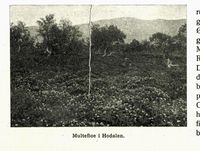 54. No-nb digibok 2012101106016 0007 2.jpg