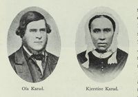 140. No-nb digibok 2013031124002 0336 1.jpg