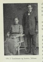 185. No-nb digibok 2013031124002 0460 1.jpg