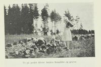 175. No-nb digibok 2013050708025 0057 1.jpg