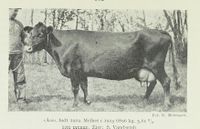 185. No-nb digibok 2013050708025 0104 1.jpg