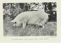 188. No-nb digibok 2013050708025 0113 1.jpg