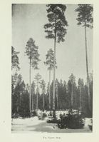 189. No-nb digibok 2013050708025 0116 1.jpg