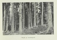 190. No-nb digibok 2013050708025 0117 1.jpg