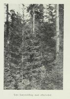 192. No-nb digibok 2013050708025 0120 1.jpg