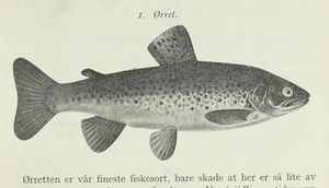 No-nb digibok 2013050708025 0205 1.jpg