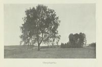 242. No-nb digibok 2013050708025 0247 1.jpg