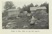 244. No-nb digibok 2013050708025 0249 2.jpg