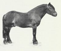 140. No-nb digibok 2013050708040 0042 1.jpg