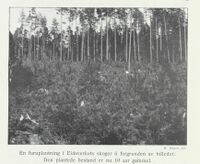 141. No-nb digibok 2013050708040 0072 1.jpg