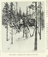 230. No-nb digibok 2013060608183 0042 1.jpg