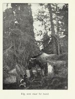 204. No-nb digibok 2013060608183 0055 1.jpg