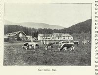 84. No-nb digibok 2013060608183 0077 1.jpg