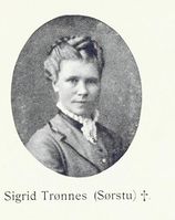 213. No-nb digibok 2013060608183 0169 5.jpg