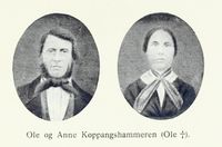 172. No-nb digibok 2013060608183 0171 1.jpg