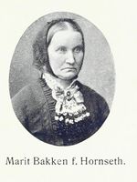 175. No-nb digibok 2013060608183 0171 4.jpg