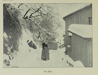 16. No-nb digibok 2013091708011 0236 1.jpg