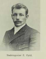 116. No-nb digibok 2013091708011 0431 1.jpg