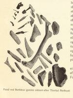 44. No-nb digibok 2013091738024 0033 2.jpg