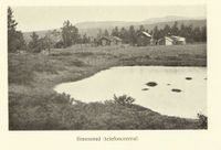 123. No-nb digibok 2013091738024 0268 1.jpg