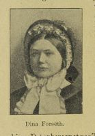 461. No-nb digibok 2013100308083 0140 1.jpg