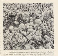 135. No-nb digibok 2013102224002 0039 1.jpg