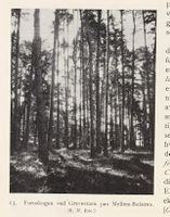 136. No-nb digibok 2013102224002 0040 1.jpg