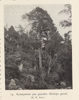 137. No-nb digibok 2013102224002 0041 1.jpg