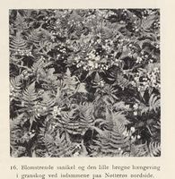 139. No-nb digibok 2013102224002 0043 1.jpg