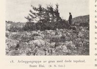 140. No-nb digibok 2013102224002 0044 2.jpg