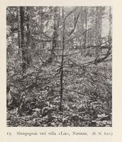 141. No-nb digibok 2013102224002 0045 1.jpg