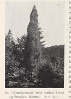 142. No-nb digibok 2013102224002 0046 1.jpg