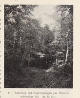 143. No-nb digibok 2013102224002 0047 1.jpg