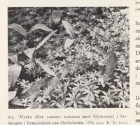 145. No-nb digibok 2013102224002 0048 1.jpg