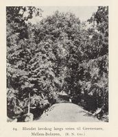 146. No-nb digibok 2013102224002 0049 1.jpg