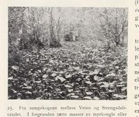 147. No-nb digibok 2013102224002 0050 1.jpg