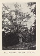 148. No-nb digibok 2013102224002 0051 1.jpg