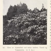 149. No-nb digibok 2013102224002 0052 1.jpg